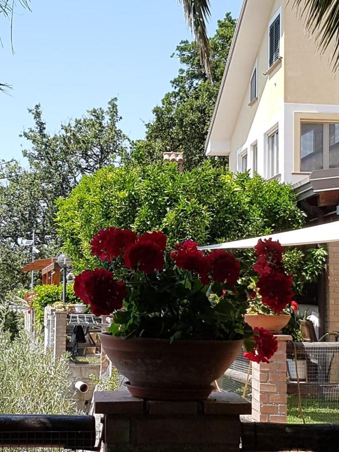 B&B L'Eucalipto Paola Kültér fotó